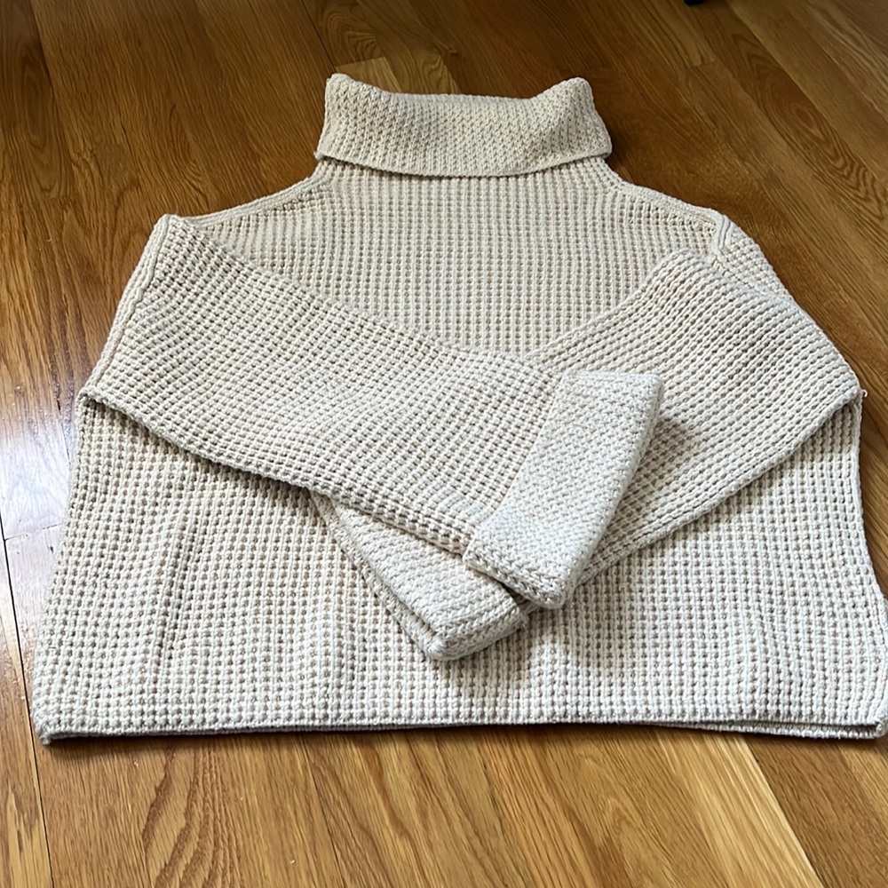 Free people sweater